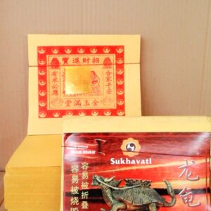 Kim Sukhavati Dragon Turtle